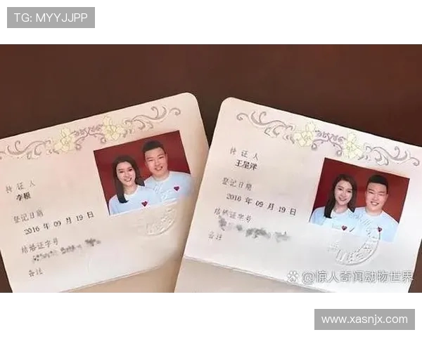 黄娜的篮球人生深度对话：从梦想起航到赛场辉煌的心路历程